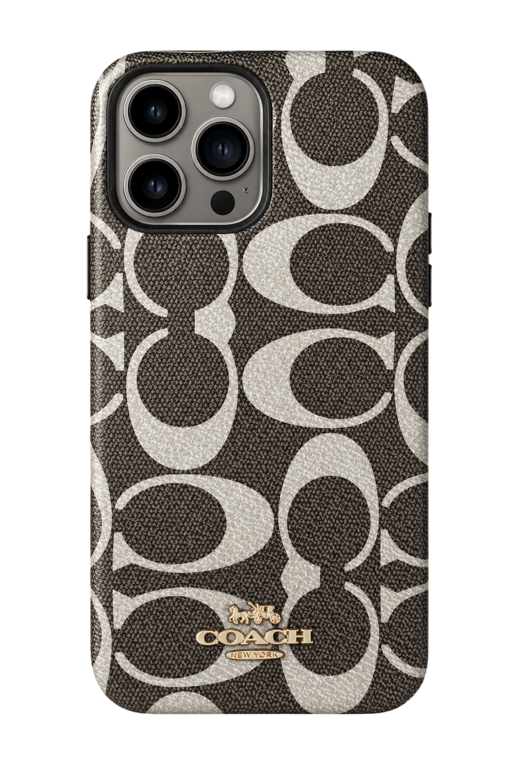 Coque Hermes C